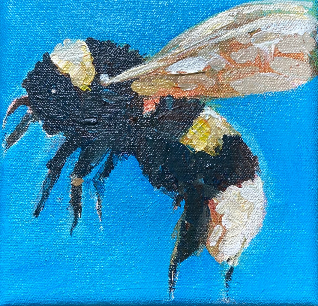 In flight Bumblebee by Julia Mcneely