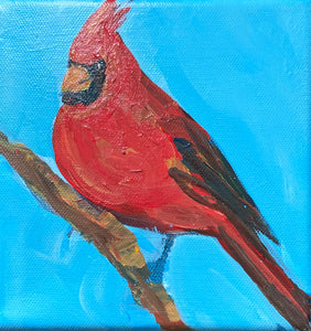 Steady Cardinal by Julia Mcneely